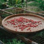 pengalaman menikmati ayam geprek bensu siantar
