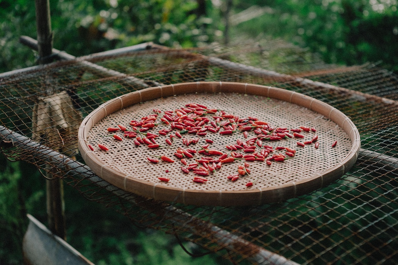 pengalaman menikmati ayam geprek bensu siantar